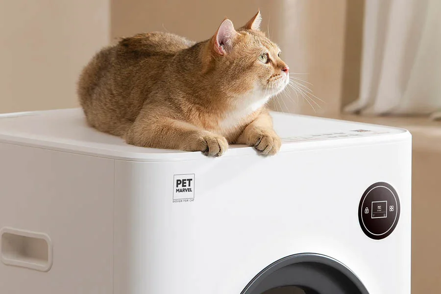 auto scoop litter box